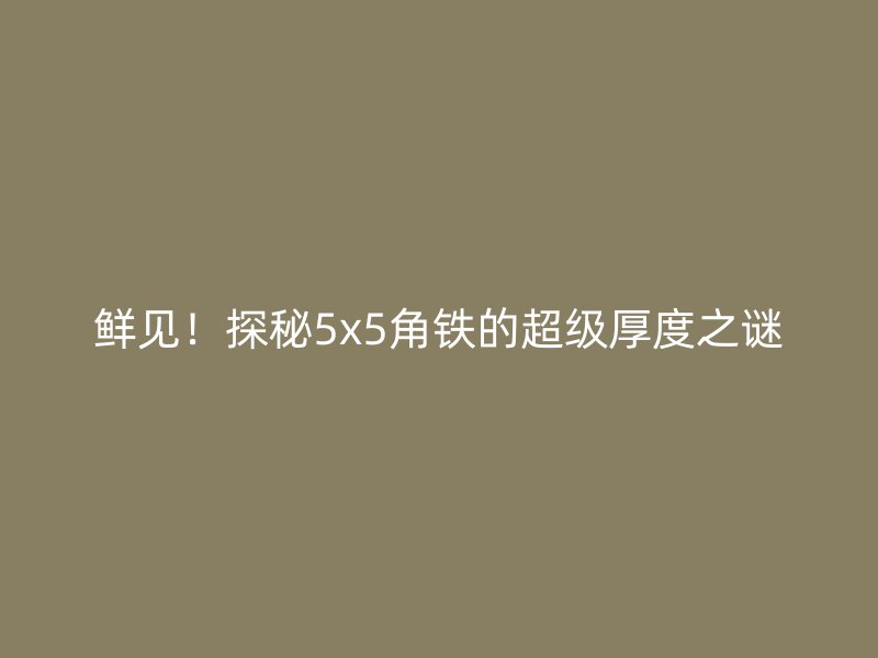 鮮見！探秘5x5角鐵的超級(jí)厚度之謎