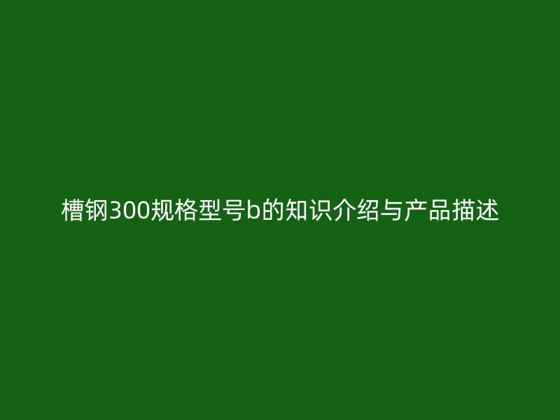 槽鋼300規(guī)格型號b的知識介紹與產(chǎn)品描述