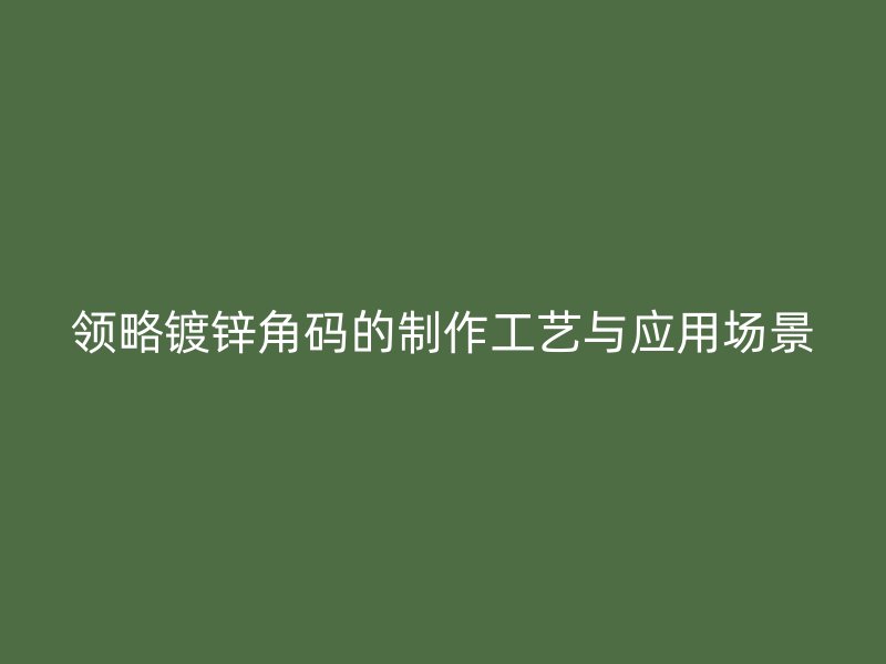 領(lǐng)略鍍鋅角碼的制作工藝與應(yīng)用場(chǎng)景